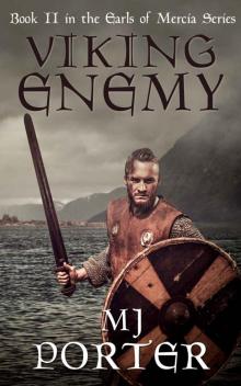 Viking Enemy Viking Enemy