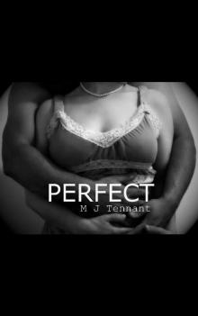 Perfect: An Enemies to Lovers Alpha Male Vs Spoiled Princess Novel - Book One