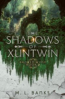 The Shadows of Xuntwin The Shadows of Xuntwin