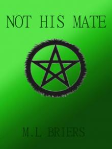 Not His Mate ( Lycan Romance )