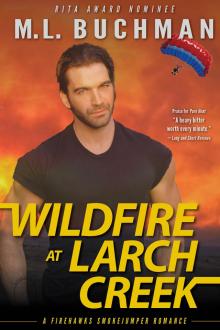 Wildfire at Larch Creek