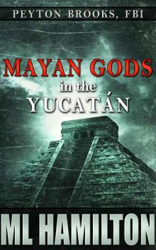 Mayan Gods in the Yucatan (Peyton Brooks, FBI Book 5)