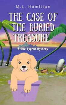 The Case of the Buried Treasure (A Rue Cyprus Mystery Book 1)