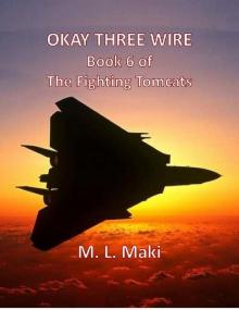 OKAY THREE WIRE: BOOK SIX OF THE FIGHTING TOMCATS