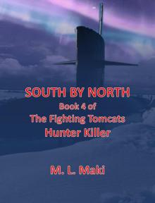 SOUTH BY NORTH: BOOK FOUR OF THE HUNTER/KILLER SERIES (THE FIGHTING TOMCATS)