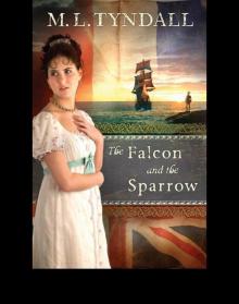 Falcon and the Sparrow