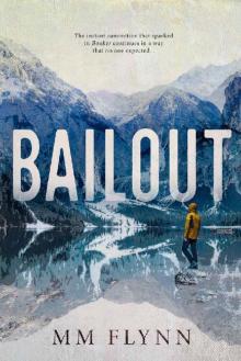 Bailout (The Booker Series Book 2)