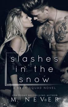 Slashes in the Snow : A Baum Squad novel