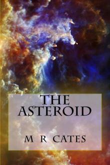 The Asteroid