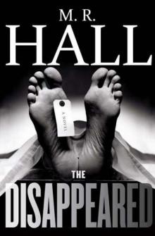 The Disappeared The Disappeared