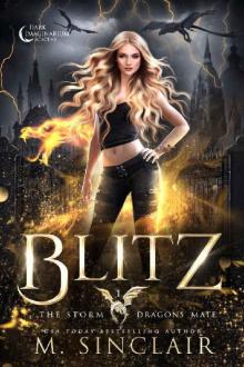 Blitz (The Storm Dragons' Mate Book 1)