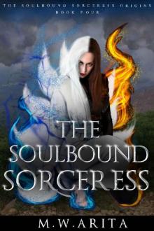 The Soulbound Sorceress: A YA Urban Fantasy Adventure and Dark Covenant Universe Novel