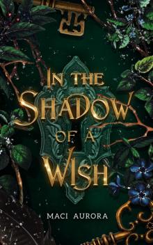 In the Shadow of a Wish