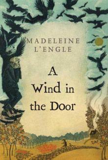 A Wind in the Door A Wind in the Door
