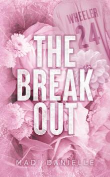 The Break Out: A Hockey enemies to lovers romance