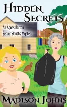Hidden Secrets Hidden Secrets