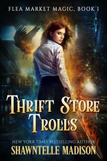 Thrift Store Trolls: A Flea Market Magic Mystery