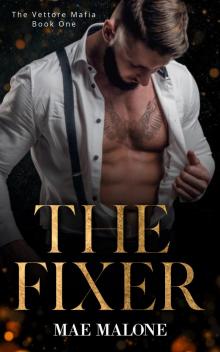 The Fixer: Book One in The Vettore Mafia Series