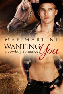 Wanting You: A Cowboy Romance (Texas Hill Country Romance Book 2)