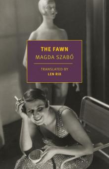 The Fawn
