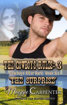 THE COWBOY'S RULES: 3: THE SURPRISE (Cowboys After Dark Book 6)
