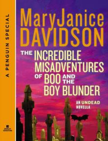 The Incredible Misadventures of Boo and the Boy Blunder The Incredible Misadventures of Boo and the Boy Blunder