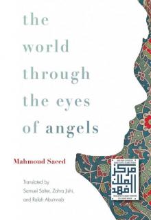 The World through the Eyes of Angels