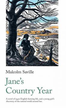 Jane's Country Year