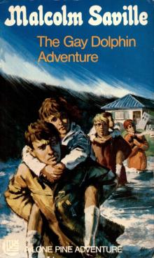 The Gay Dolphin Adventure