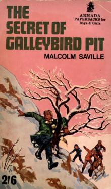 The Secret of Galleybird Pit