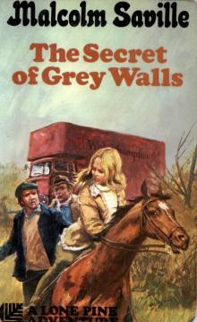 The Secret of Grey Walls