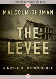 The Levee: A Novel of Baton Rouge