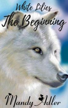 The Beginning: White Lilies