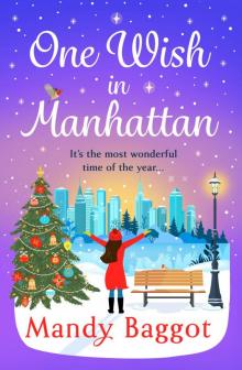 One Wish in Manhattan
