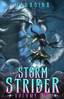 Storm Strider 2: A LitRPG Fantasy Adventure