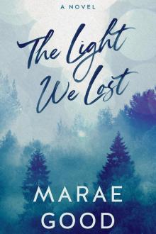 The Light We Lost (Lost and Found in Wallowpine Book 2)