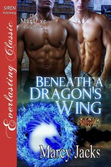 Beneath a Dragon's Wing_Fury 1