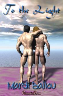 Heliotropic 3: To the Light