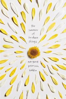 The Summer of Broken Things The Summer of Broken Things