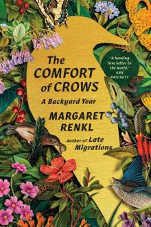 The Comfort of Crows The Comfort of Crows