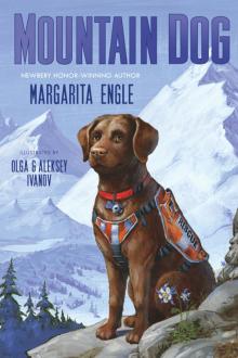 Mountain Dog Mountain Dog