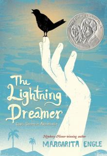 The Lightning Dreamer The Lightning Dreamer