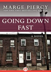 Going Down Fast: A Novel Going Down Fast: A Novel