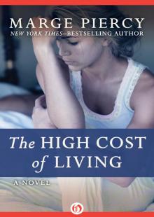 The High Cost of Living: A Novel