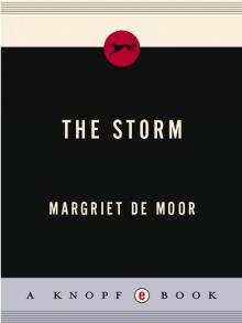 The Storm The Storm