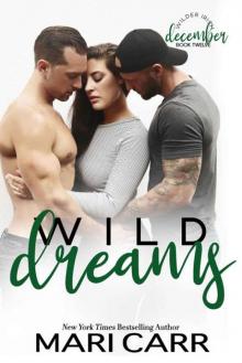 Wild Dreams: A Friends to Lovers romance (Wilder Irish Book 12) Wild Dreams: A Friends to Lovers romance (Wilder Irish Book 12)