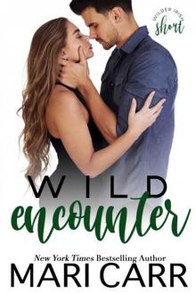 Wild Encounter: A Wilder Irish Short Story Wild Encounter: A Wilder Irish Short Story