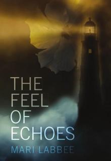 The Feel of Echoes