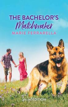 The Bachelor's Matchmaker The Bachelor's Matchmaker