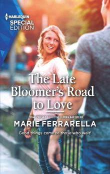 The Late Bloomer's Road to Love The Late Bloomer's Road to Love